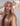 Milk Tea Brown 13X6 Three Go Wigs &autoplay